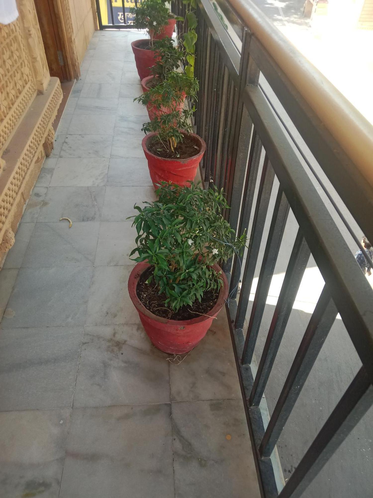 Hotel Neem Haveli Džaisalmér Exteriér fotografie
